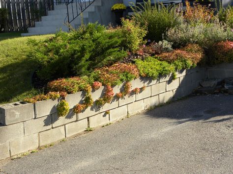 diy cinderblock retaining wall | How to Build a Cinder Block Retaining Wall | Incoming BytesIncoming ... Cinder Block Retaining Wall, Cinder Block Garden Wall, Block Retaining Wall, Garden Wall Planter, Garden Retaining Wall, Cinder Block Garden, Cinder Block Walls, Cement Blocks, Garden Planter Boxes