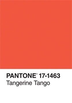 Tangerine Tango. Pantone Orange, Pantone Palette, Pantone Colour Palettes, Pantone Colors, Chronicle Books, Unique Book, Color Crush, Color Inspo, Colour Board