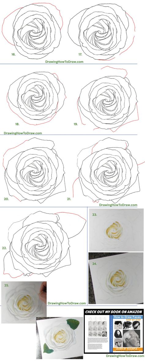 How to Draw a White Rose from Above for Valentine's Day - Using Pencils and Colored Pencils - How to Draw Step by Step Drawing Tutorials Hair Stenciling, Rose Drawing Tattoo, Easy Flower Drawings, Tree Drawings Pencil, Draw Step By Step, Pencil Drawings For Beginners, How To Draw Steps, Drawing Step By Step, Art Sketches Pencil