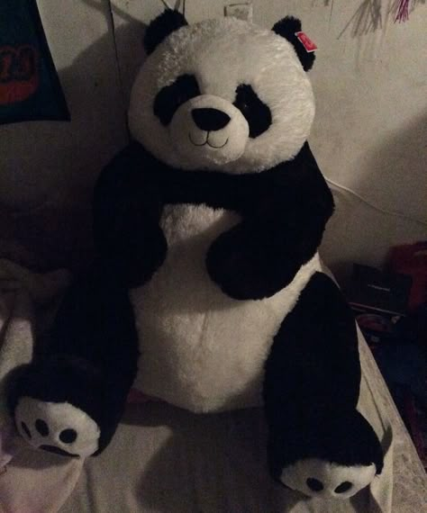 🐼so worth 50 bucks Huge Teddy Bears, Panda Teddy, Panda Teddy Bear, Panda Items, Teddy Bear Cartoon, Big Panda, Baby Panda Bears, Big Teddy, Giant Teddy Bear