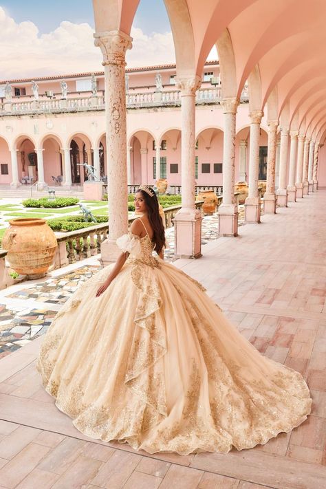 This exquisite Princesa by Ariana Vara Quinceanera dress features a stunning combination of tulle, lace applique, and glitter tulle. The gown is adorned with intricate lace details, shimmering in the light, and a captivating sequin pattern on the detachable train. The dress includes separate short sleeves, adding a touch of elegance, while the detachable bow and caplet provide versatile styling options. The allover lace and glitter tulle train create a dramatic and enchanting effect, perfect for Allure Romance, Pageant Interview, Homecoming Court, Tulle Train, Allure Couture, Sequin Pattern, Detachable Train, Princess Sleeves, Sherri Hill Prom Dresses