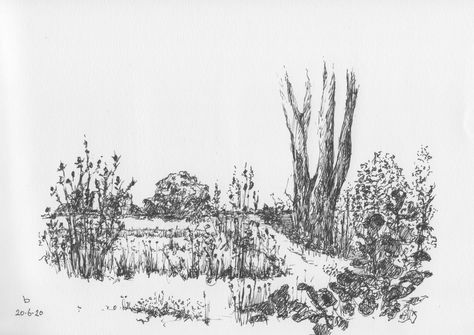 Flower Field Sketch Pencil, Flower Field Drawing Pencil, Grass Field Drawing, Flower Field Sketch, Flower Field Drawing, Scenery Sketch, Forest Drawing, Ink Pen Art, Portfolio Project