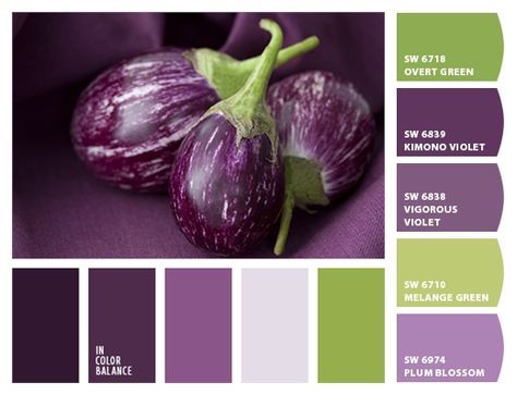 Paint colors from Chip It! by Sherwin-Williams Bedroom Colors Purple, Purple Color Schemes, Wall Living Room, Color Boards, Art Colour, Eggplant Color, Design Seeds, Color Balance, Living Room Bathroom