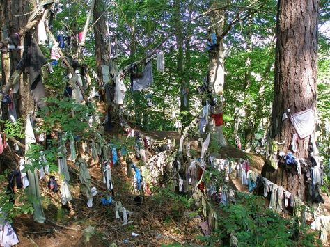 The tradition of making offerings at wishing trees and wells dates back hundreds of years, and can be found all over the world in different ... Sacred Well, Scottish Words, Protestant Reformation, Houses Of The Holy, Celtic Traditions, Wishing Tree, Tree Spirit, Nature Spirits, Scotland Highlands