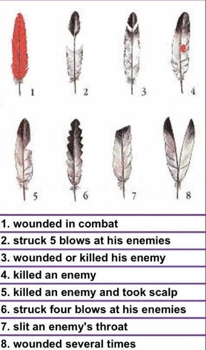 Native American Award for Valor, Courage and Bravery  Is there a Native American symbol awarded to great warriors for valor, courage, and bravery in battle much like the Silver or Bronze Stars awarded to soldiers. Native American Quotes, Native American Raven, Feather Meaning, Raven Feather, Native American Spirituality, Native American Wisdom, Wilde Westen, Native American Symbols, American Symbols