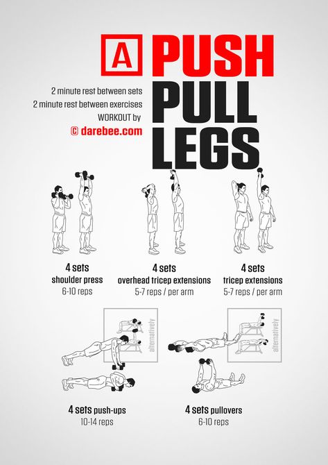 Push Pull Legs Dumbbell Workout, Ppl Workout Routine At Home, Ppl Dumbbell Workout, Ppl Workout Routine, Darbee Workout, Ftm Tips, Push Pull Legs Workout, Push Pull Workout, Free Weight Workout