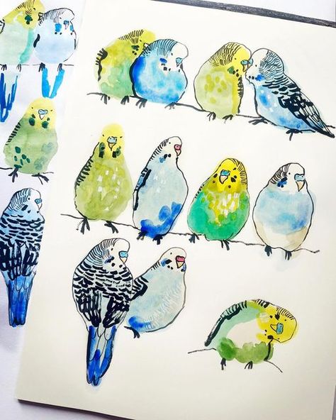 RoEnArt on Instagram: "My wobbly watercolour #budgies from the other night - with a few gel pen touches added.🖊 I adore budgies with their pretty patterns and happy, super cute personalities 😍 Did you know these colourful little guys are the third most popular pets in the world after dogs and cats? 🦜🦜🦜 Hope you’re having a fabulous weekend! 💚💚 #loosewatercolour #quirkyillustration #birdlove" Budgie Drawing, Budgie Art, Budgie Sketch, Budgie Painting, Parakeet Watercolor Painting, Budgie Watercolour Painting, Quirky Illustration, Creative Class, Pen And Watercolor