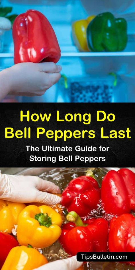 Discover the shell life of bell peppers, whether they are refrigerated or frozen. We’ll show you how to store red, yellow, and green bell peppers to maintain their flavor, and how to use up old peppers so they don’t go to waste. #bellpepperstorage #bellpeppershelflife #storingbellpeppers Storing Bell Peppers, Freezing Bell Peppers, Vegan Stuffed Bell Peppers, Red Pepper Pasta Sauce, Easy Stuffed Pepper Recipe, Stuffed Bell Peppers Chicken, Neuer Wallpaper, Stuffed Peppers With Rice, Creamy Vegan Pasta