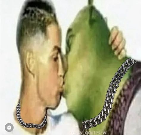 Shrek kissing a man Funny Pix, Weird Images, Crazy Funny Pictures, Goofy Pictures, 웃긴 사진, Very Funny Pictures, Funny Profile Pictures, Silly Pictures, Shrek