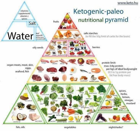 Keto food pyramid Pyramid Food, Paleo Food Pyramid, Food Pyramid Kids, Keto Food Pyramid, Nutrition Pyramid, Paleo Nutrition, Brain Nutrition, Food Knowledge, Nourishing Food