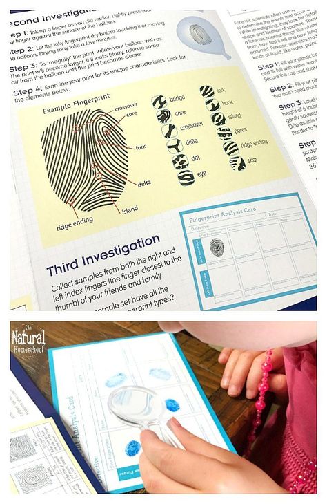 Fingerprint Science, Kids Science Experiments, Stem Classes, Stem Programs, Math Activities For Kids, Maker Space, Easy Science Experiments, Kids Science, Fun Summer Activities