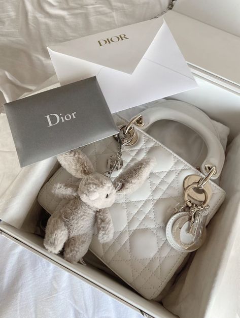 Luxury Dior Bag, Dior Aesthetic Clothes, Dior Aesthetic Bag, Dior Bags Aesthetic, Lv Bag Aesthetic, Expensive Gifts Aesthetic, White Luxury Bag, Dior Things, Dior Bag Collection