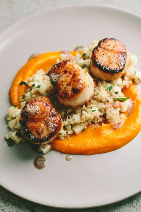 Seared Scallops with Quinoa and Apple Salad + Butternut Squash Puree // www.athoughtforfood.net Salad Butternut Squash, بطاطس مهروسة, Butternut Squash Puree, Fest Mad, Squash Puree, Seared Scallops, Idee Pasto, Fine Dining Recipes, Scallop Recipes