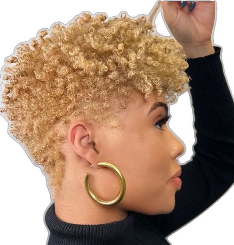 Short Blonde Natural Hair Black Women, Natural Hairstyle Black Women, Natural Hair Styles For Black Women Short, Black Women Haircuts, Terra Glam, Natural Tapered Cut, Tapered Natural Hair Cut, Natural Haircuts, Natural Hair Haircuts