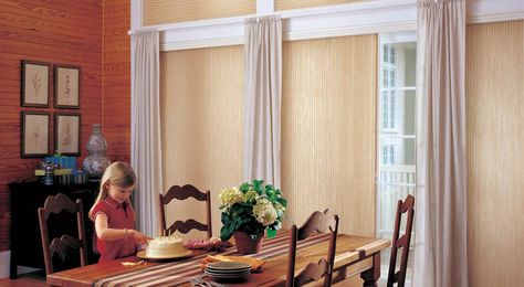 Applause Vertiglide honeycomb shades: Hunter Douglas Window Treatments Sliding Patio Door Window Treatments, Vertical Blinds Alternative, Patio Door Window Treatments, Accent Window, Sliding Glass Door Window Treatments, Patio Door Coverings, Sliding Glass Door Window, Sliding Door Window Treatments, Door Window Treatments