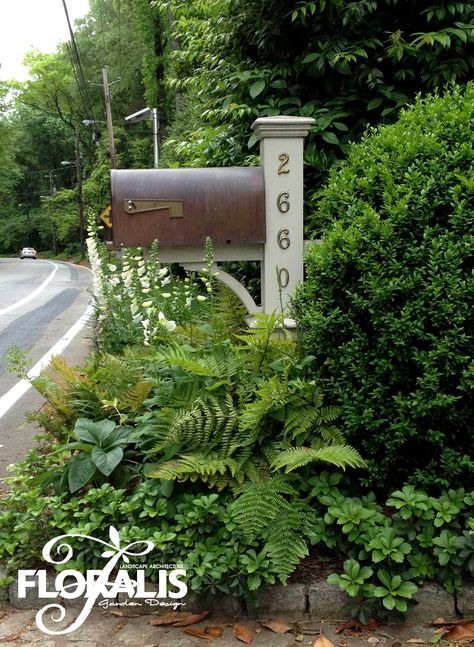 Mailbox Planting by Floralis.  This is pretty but I don't have shade at my mailbox.  :(  I like the mailbox post. English Mailbox Ideas, Mailbox Landscaping With Tree, Cape Cod Mailbox Ideas, Country Mailbox Landscaping, Mailbox Makeover Curb Appeal, Craftsman Style Mailbox Ideas, Painted Mailbox Post, Mail Boxes Design, Mail Box Decorations