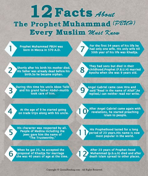 12 Facts About Prophet Muhammad(PBUH) by quranreadingacademy on DeviantArt Seerah Of Prophet Muhammad, Islam Learning, Sunnah Of Prophet Muhammad, About Prophet Muhammad, Prophet Muhammad Biography, Islam Knowledge, Prophets In Islam, Quran Journal, Islamic Facts