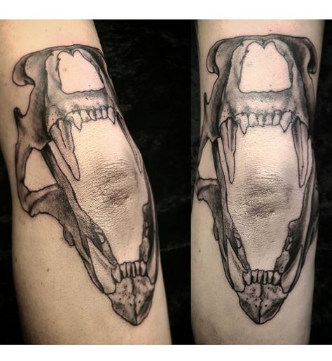 Jaw Elbow Tattoo, Human Jaw Tattoo, Jaw Knee Tattoo, Tattoo On Elbow, Jaws Tattoo, Jaw Tattoo, Tattoo Elbow, Inner Elbow Tattoos, 22 Tattoo