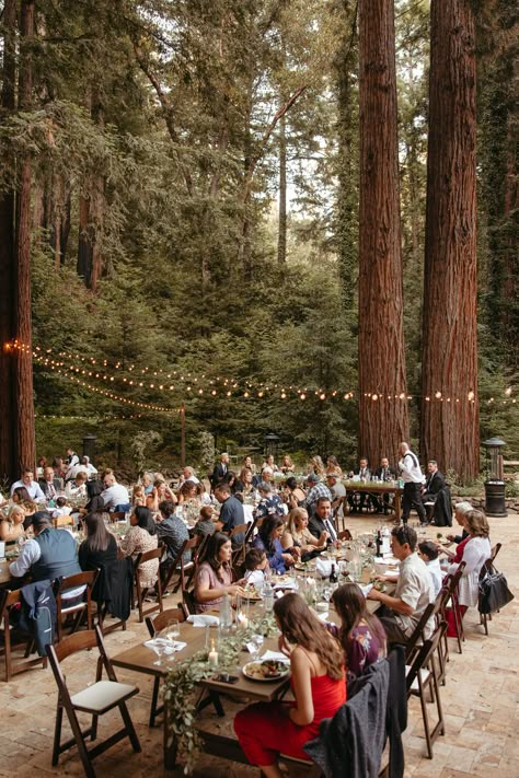 Testimonials • Waterfall Lodge & Retreat: Laid-back, luxury wedding & event destination — Waterfall Lodge + Retreat Waterfall Lodge Santa Cruz Wedding, Spence Cabin Wedding, Wedding Lodge, Santa Cruz Redwoods, Wedding December, Sundance Resort, Weekend Aesthetic, Sunny Meadow, Getaway Wedding