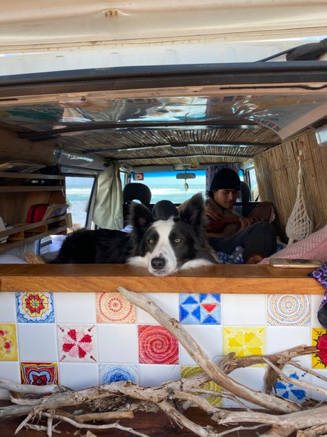 van hippie travel ocean beach dog ukulele Van Road Trip Aesthetic, Aesthetic Van Life, Van Life Dog, Van Life Cat, Van Life With Dog, Van Life Aesthetic Mountains, Van Life Interior With Dog, Vanlife With Cats, Van Life With Dog Aesthetic