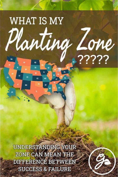 Understanding the #USDA #planting #zones you live in can mean the difference between success and failure in your garden. Planting #vegetables, #flowers and other #plants that are appropriate for your U.S. growing zone will make sure that your garden is happy and healthy year after year. Get the Know How. Usda Zones Maps, Zones For Gardening, Flower Zones Map U.s. States, Zone Planting Map, Growing Zones Map United States, What Planting Zone Am I In, What Garden Zone Am I In, Gardening Zones Map U.s. States, Plant Zones Map United States