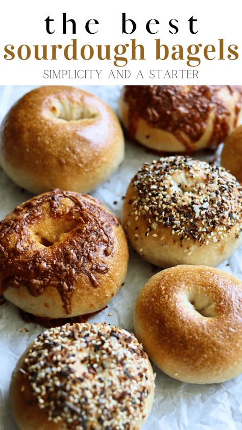 The Best Sourdough Bagels - Simplicity and a Starter Sourdough Bagel, Recipe Using Sourdough Starter, Sourdough Bagels, Sourdough Starter Discard Recipe, Homemade Sourdough Bread, Sourdough Starter Recipe, Bagel Recipe, Sourdough Baking, Starters Recipes