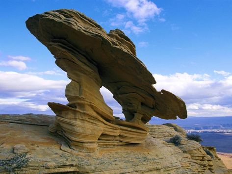 See weathering and erosion photos in the Weathering and Erosion Gallery from National Geographic. Arizona Rocks, Fourth Grade Science, Weathering And Erosion, 4th Grade Science, 5th Grade Science, Earth Surface, Cool Rocks, Biome, Rock Formations