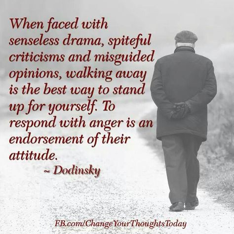 When faced with senseless drama, spiteful criticisms and misguided opinions, walking away is the best way to stand up for yourself.   To respond with anger is an endorsement of their attitude. Dodinsky No More Drama, Dealing With Difficult People, Stand Up For Yourself, Drama Quotes, Difficult People, We Are The World, A Quote, Great Quotes, Mantra