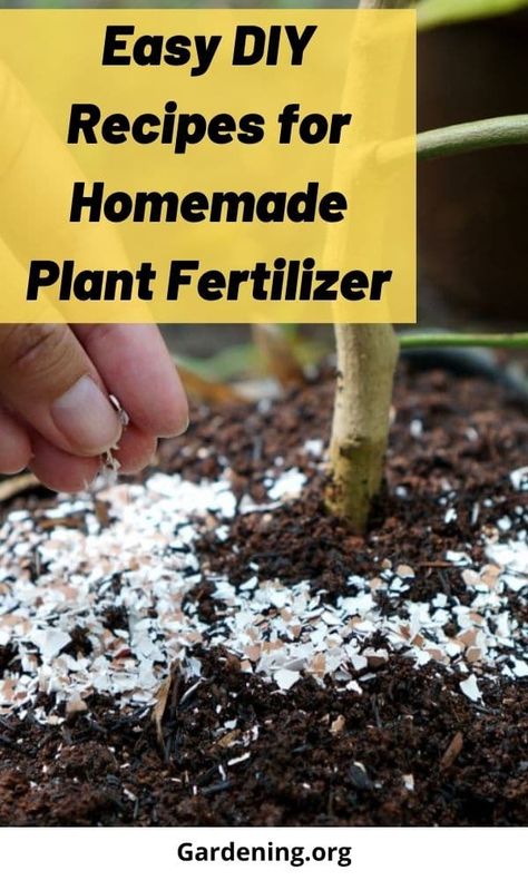 You may be surprised to find there are many garden fertilizer sources in and around your home. Many waste products make great fertilizers! Diy Fertilizer For Plants, Homemade Plant Fertilizer, Homemade Fertilizer, Interior Gardens, Manure Tea, Natural Plant Fertilizer, Gardening Veggies, Metabolism Reset, Garden Prep