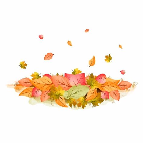 Pile Of Leaves Illustration, Pile Of Leaves, Leaves Illustration, Autumn Illustration, Leaf Background, Colorful Leaves, 100m, Hello Autumn, Autumn Leaves