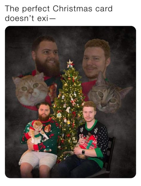 Cat Family Photo, Awkward Family Photos Christmas, Pet Family Photos, Funny Christmas Photo Cards, Funny Family Christmas Cards, Funny Christmas Photos, Christmas Couple Photos, Dog Christmas Pictures, Family Christmas Card Photos