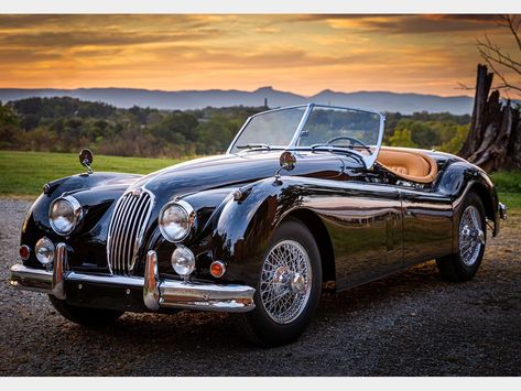 Jaguar Roadster, Jaguar (cars), Auto Retro, Jaguar Models, British Sports Cars, Jaguar Xk, Jaguar Car, Classy Cars, European Cars