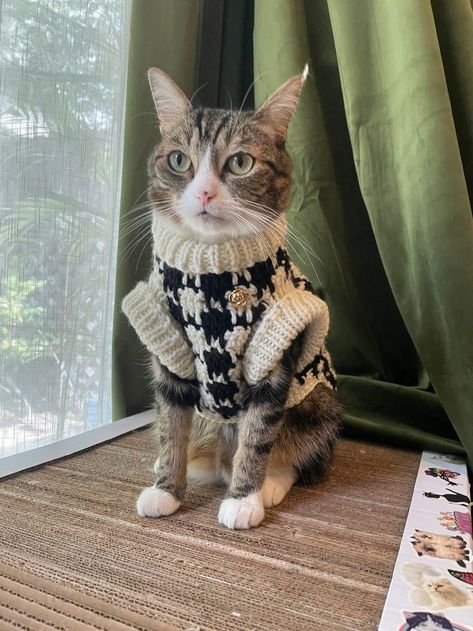 Cat Clothes Aesthetic, Houndstooth Clothes, Cat Sweater Crochet Pattern, Crochet Cat Sweater, Cute Cat Clothes, Cats In Sweaters, Cat Sweater Pattern, Sweater For Cat, Cat Outfits