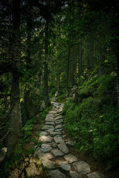 Path of stones by J&M Diversity on @creativemarket Path Reference, Stone Walkways Paths, Path In Woods, Path Through The Woods, Pathway Design, Stone Aesthetic, Hiking Path, Forest Paths, Path Art