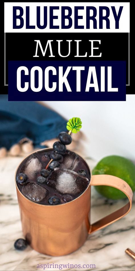 Blueberry Mule Cocktail: A Unique Twist on a Classic | Moscow Mule recipes you need to try | Blueberry cocktail recipe | Copper mug drink recipes | Summer drink recipes for everyone #Blueberry #MoscowMule #BlueberryMuleCocktail #Cocktail #CocktailRecipe #Vodka #VodkaRecipes Huckleberry Mule, Copper Mug Drinks, Blueberry Mule, Moscow Mule Recipe Classic, Moscow Mule Recipes, Mule Drink, Blueberry Cocktail, Moscow Mule Recipe, Mule Cocktail