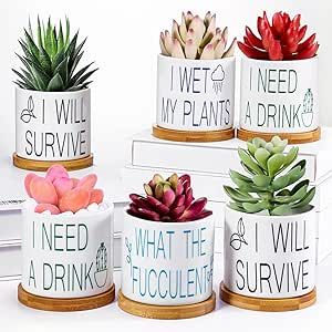 Succulent Pots Funny Cute Succulent Cactus Planters Gifts for Grandma Friend 3.2 Inch with Drainage and Bamboo Tray White Ceramic Pot for Plants Garden Decorative Cactus Flowers (Fresh Style,4 Pieces) Blue And White Planters Pots, Cactus Planters, Pot For Plants, Mini Plant Pots, Ceramic Succulent Planter, Planter Gift, Bamboo Tray, Gifts For Grandma, Cactus Planter