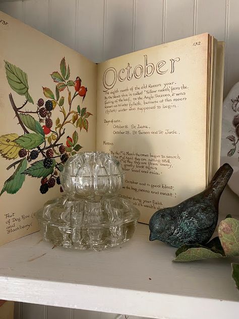 Vintage Fall Centerpieces, Fall Vinyettes Display, Vintage Fall Vignettes, Bookshelf Display Ideas, Vignettes Styling Display Ideas, Shelf Vignettes, Decorating With Vintage Items, Oil Lamp Decor, Vintage Shelf Decor