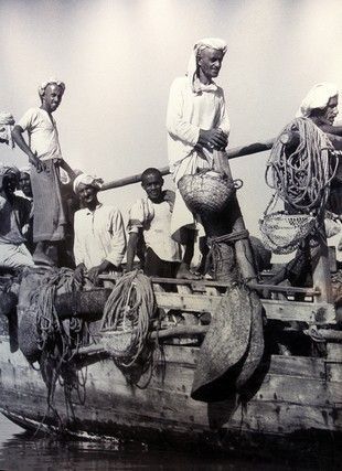 In Pictures: The Story of the UAE's Rich Pearl Diving Culture - Scoop Empire Pearl Diving, Collecting Shells, Volvo Ocean Race, Coffee Shop Interior Design, Early Photos, Interior Design Sketches, Sailing Boats, Wedding Inspiration Summer, Illustration Art Drawing