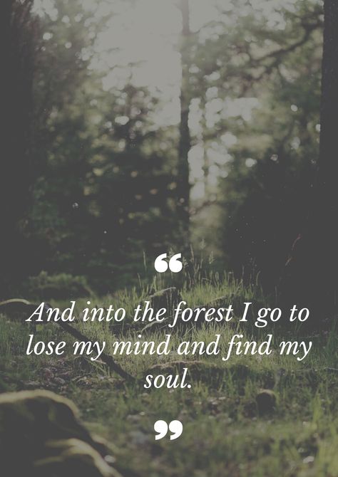 Into the forest I go to lose my mind and find my soul. #nature #naturequotes #spirituality #healing #joy #abundance #universe Goal Inspiration, Into The Forest I Go, Into The Forest, Quotes For Book Lovers, Soul Quotes, Life Success, Nature Quotes, Tony Robbins, Cabins In The Woods