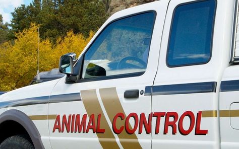 Animal control is a vital service that helps protect both people and animals in our communities. But when is it ... Read more The post When to Call Animal Control on a Neighbor? appeared first on Little House Lovely Home. Animal Control Officer, Aggressive Animals, People And Animals, Muscle Atrophy, Lovely Home, Animal Control, Left Alone, Living Tips, It's Hard