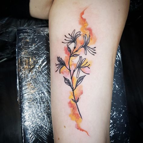 #floral #linework #watercolor #honeysuckle #tattoo #flowertattoo #colortattoo #girlswithtattoos #berlin #berlintattooartist #apocalypsetattoo #germanytattoo | By Sara Iuso | Done at Apocalypse Tattoo | Nov 11th 2019 | 1234311 Honeysuckle Watercolor, Floral Linework, Honeysuckle Tattoo, Germany Tattoo, Carnation Tattoo, Flower Bouquet Tattoo, Nouveau Tattoo, Bouquet Tattoo, Honeysuckle Flower