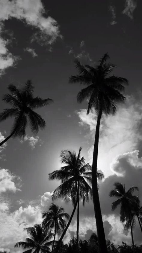 White And Black Pictures, Moorea Island, Foto Muro Collage, Black Pictures, Black And White Photo Wall, Black And White Picture Wall, Dark Pictures, Gray Aesthetic, Black Picture