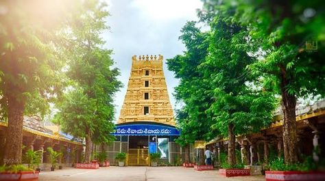 Srisailam Mallikarjuna Swamy, Mallikarjuna Swamy, God Of Destruction, Hindu Dharma, Krishna Statue, God Shiva, Madurai, Andhra Pradesh, Dark Photography