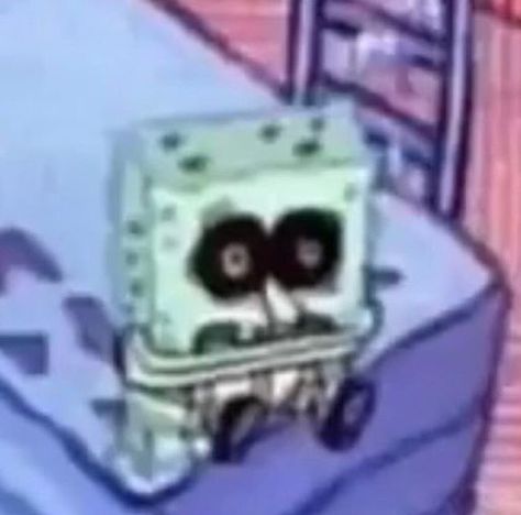 Spongebob Funny Pictures, Memes Gretchen, Spongebob Pics, Spongebob Funny, Spongebob Memes, Silly Images, Reaction Pics, Silly Pictures, Funny Reaction Pictures