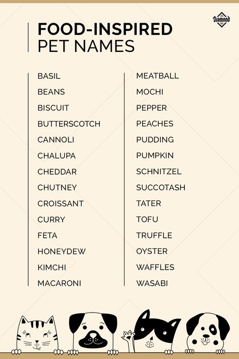 Did you just adopt a dog or cat and are wondering what to name them? Name your pet after something you love, like food! From Tofu and Feta to Mochi and Tater, check out these food-inspired pet names. #PetNames #NameIdeas Pet Names For Animals, Dog Names Food Related, Adopt Me Names For Pets, Names For Hedgehogs, Touchbar Pet, Hedgehog Name Ideas, Cute Hedgehog Names, Cute Cat Names Aesthetic, Food Pet Names