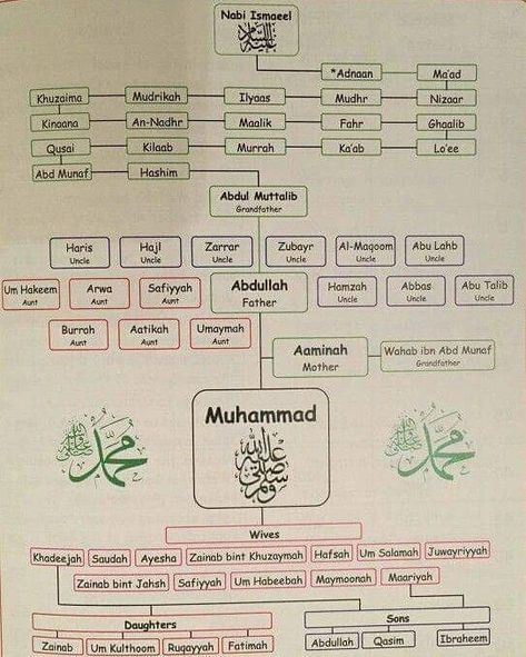 Family tree of Prophet Muhammad PBUH Family Islam, Prophets In Islam, Islam Lesson, Prophet Muhammad Quotes, Quotes Family, Islam Beliefs, Ayat Quran, Muhammad Quotes, Islam Hadith