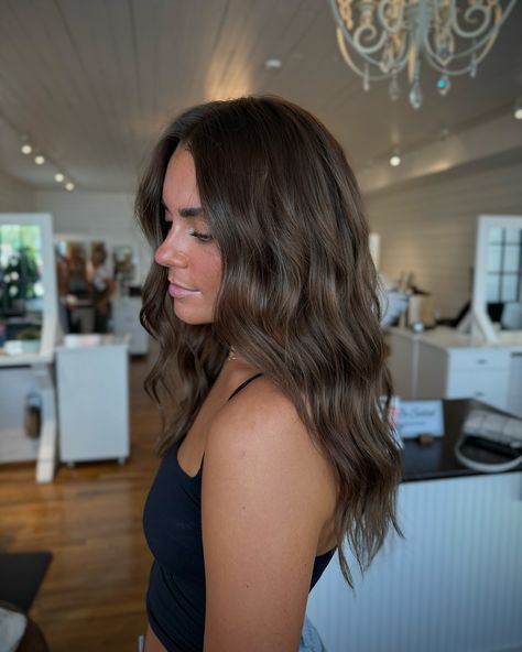 this is your sign to go back to your roots 😻🤎 >>>swipe for the before!! #hairstylist #hairstylists #michiganstylist #mihairstylist #blonde #brunette #highlights #lowlights #livedinblonde #livedinhair #dimensionalblonde #rootsmudge #teasylights #balayage #haircut #holland #grandrapids #michigan Naturally Brown Hair, Dark Brown Hair With Blonde Highlights Root Smudge, Dark Hair Fall 2024, Low Light Brunette Hair, Reverse Highlights Brown, Brunette Balayage Formula, Medium Brunette Balayage, Low Maintenance Brown Hair Color, Fall Bronde Balayage Dark Roots