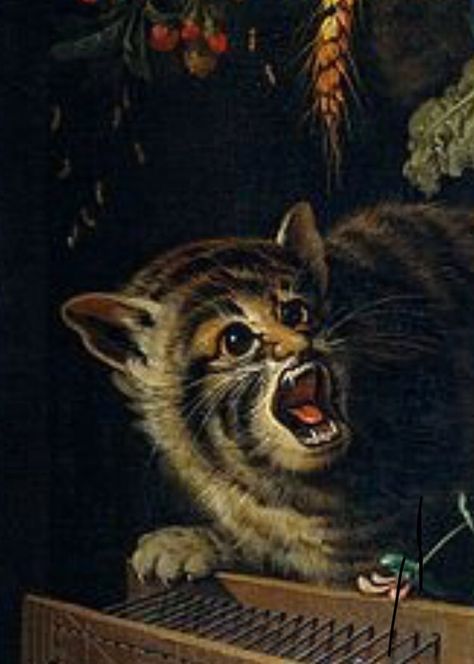 41 Strange on Twitter: "Cats in Renaissance paintings… " Abraham Mignon, Funny Medieval, Evil Cat, Ugly Cat, Medieval Paintings, Funny Paintings, Animal Portraits Art, Bad Cats, Old Cats