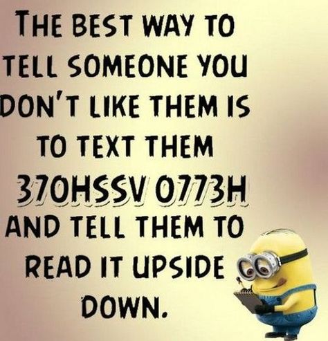 Minion Meme, Quotes Hope, Funny Minion Pictures, Funny Minion Memes, Minion Jokes, A Minion, Funny Minion Quotes, Minion Quotes, Text Jokes