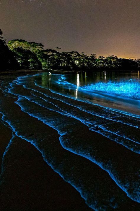 Bioluminescent Algae, Portland Japanese Garden, Ocean At Night, Sea Of Stars, Outdoor Fairy Lights, Australian Beach, Beach At Night, My Fantasy World, Beach Wallpaper